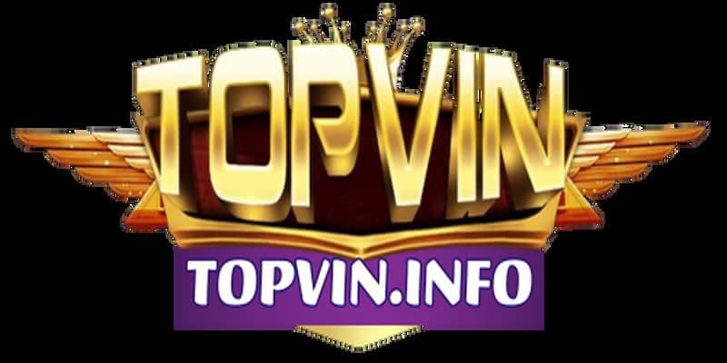 Topvin Topvin tổng quan sơ lược