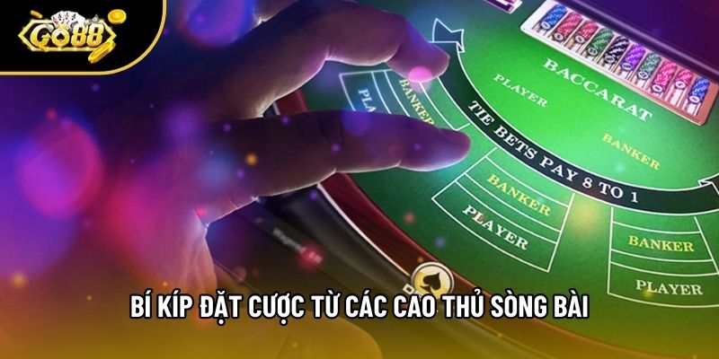 Bí kíp đặt cược từ các cao thủ sòng bài Bí kíp đặt cược từ các cao thủ sòng bài